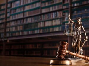 Environmental Law Attorney: Protecting Our Planet, One Case at a Time