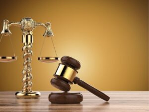 New Immigration Laws in New York: What They Mean for the Future of the State