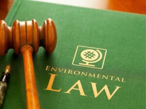 How a Property Damage Attorney in Los Angeles Can Help You Reclaim What You’ve Lost