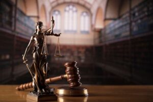 Recent Constitutional Law Updates in the U.S.
