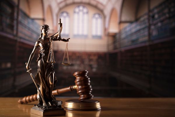 constitutional law updates